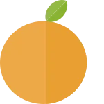 Orange SVG Icon